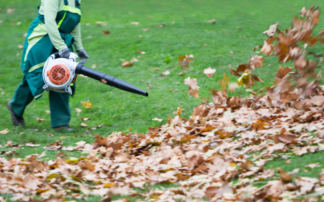Fall Cleaning: Preparing Your Home For the Coziest Season of All